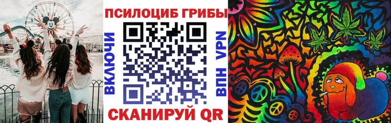 Галлюциногенные грибы ЛСД  shop как зайти  Катав-Ивановск 